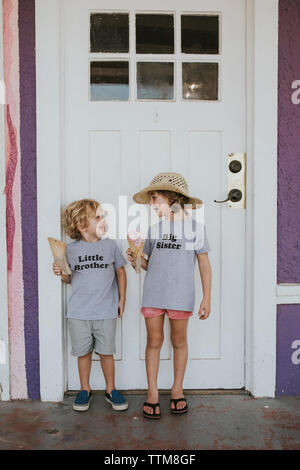 Felici i fratelli con gelato guardando gli uni con gli altri mentre in piedi contro la porta Foto Stock