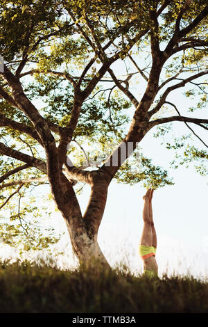 Giovane donna facendo esercizio di yoga all'aperto sull'erba nel parco al tramonto Foto Stock