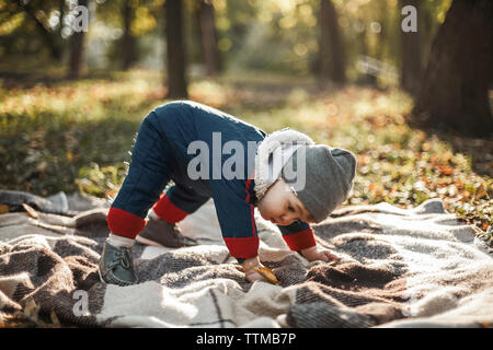 Lunghezza completa di simpatici baby boy cercando di stare in piedi sulla coperta picnic al parco durante l'autunno Foto Stock