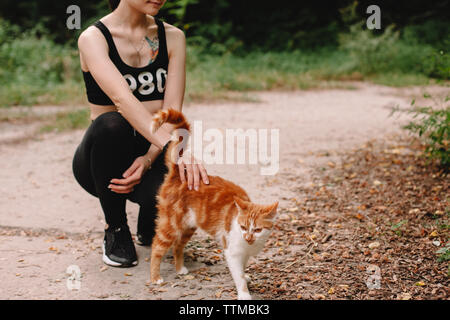 Immagine ritagliata della giovane donna petting cat all'aperto Foto Stock