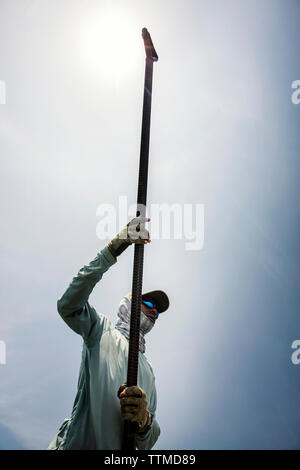 BELIZE, Punta Gorda, Toledo, gli ospiti possono andare a Mosca, Belcampo Belize è noto per essere un flyfisher's paradise, tutte le guide sono locali per il Sud Foto Stock