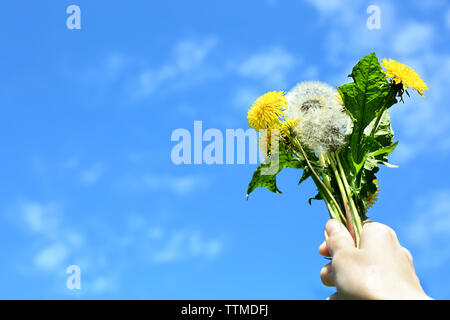 Mano che tiene il tarassaco su sfondo cielo Foto Stock