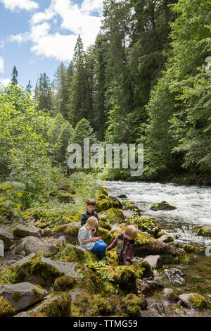 Stati Uniti d'America, Oregon, Santiam River, Marrone Cannon, ragazzi giocare in Willamete Foresta Nazionale vicino al fiume Santiam Foto Stock