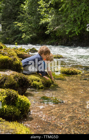 Stati Uniti d'America, Oregon, Santiam River, Marrone Cannon, ragazzi giocare in Willamete Foresta Nazionale vicino al fiume Santiam Foto Stock