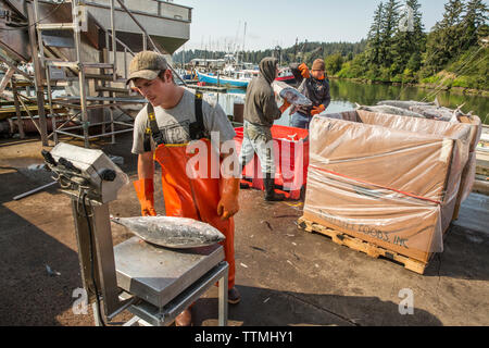 Stati Uniti d'America, nello Stato di Washington, Ilwaco, il porto di Ilwaco situato sulla costa sudoccidentale di Washington appena dentro il Columbia River bar, Jessie Ilwaco della FIS Foto Stock