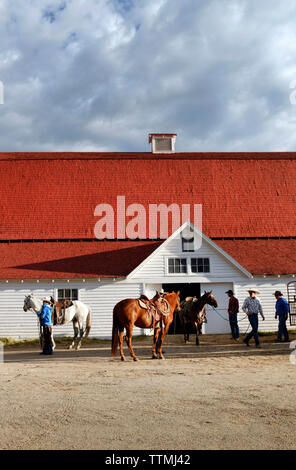 Stati Uniti d'America, Wyoming Encampment, cowboy preparare per un branding e caricare i cavalli in un rimorchio, Big Creek Ranch Foto Stock