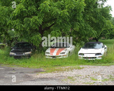 Abbandonato classic cars in New Jersey campo vicino Hackettstown, New Jersey. Lasciati a marcire, questi classici sedersi sconsolato e apparentemente dimenticati. Foto Stock