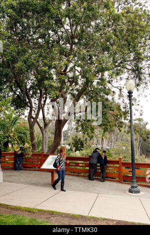 Stati Uniti, California, San Diego, individui a piedi attorno a Balboa Park Foto Stock