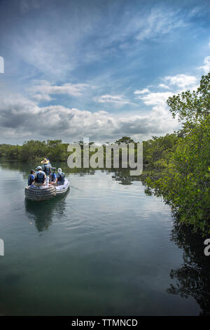 Isole GALAPAGOS, ECUADOR, esplorando Elisabeth Bay in Zodiac Foto Stock
