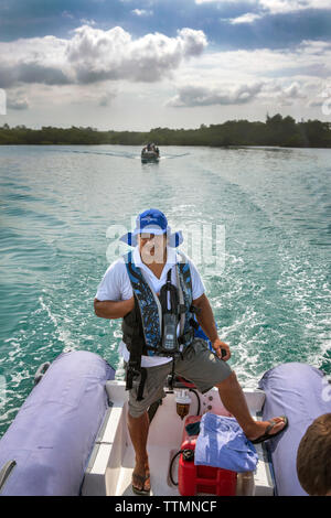 Isole GALAPAGOS, ECUADOR, esplorando Elisabeth Bay in Zodiac Foto Stock