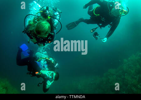 Isole GALAPAGOS, ECUADOR, individui le immersioni nelle acque in prossimità di rocce Gordon Foto Stock