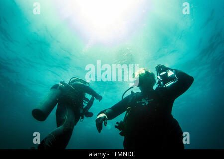 Isole GALAPAGOS, ECUADOR, individui le immersioni nelle acque in prossimità di rocce Gordon Foto Stock