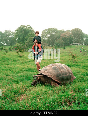 ECUADOR, Galapagos, Isola di Santa Cruz, padre e figlio osservando una tartaruga gigante nelle highlands Foto Stock