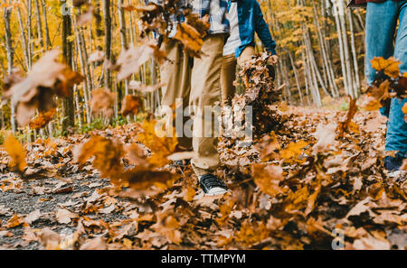 Sezione bassa di ragazzi camminare su foglie secche sul sentiero nella foresta Foto Stock