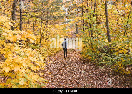 Lunghezza completa di ragazzo camminando sulle foglie coperta sentiero nel bosco durante la stagione autunnale Foto Stock