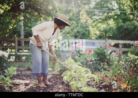 Donna che utilizza il giardinaggio forcella in giardino Foto Stock