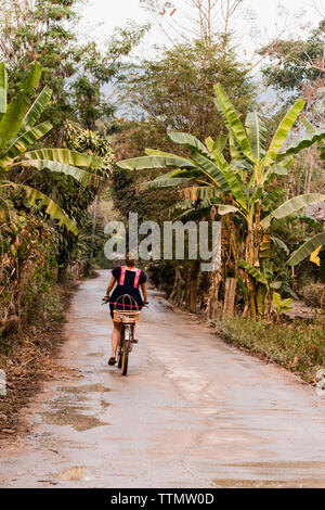 Vista posteriore della donna Bicicletta Equitazione sulla strada tra alberi e piante Foto Stock