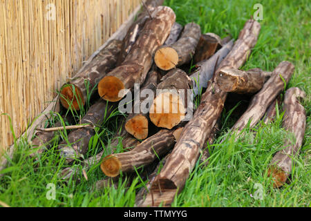 Pila di ciocchi di legna sull'erba Foto Stock