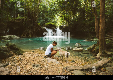 Vista laterale della giovane donna petting cane mentre accovacciato dal lago a forest Foto Stock