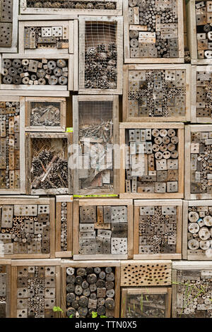 Fatta in Casa scatole di nido per solitario di api e di altri insetti - i fori con estremità chiuse a tenuta sono già stati occupati (UK) Foto Stock