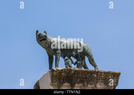 Una replica del Campidoglio Wolf lattante Romolo e Remo - Aquileia Friuli Venezia Giulia, Italia Foto Stock