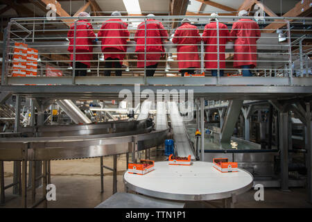 Turi, Bari 11/05/2019: Sede operativa della Organizzazione produttori "Giuliano Pugliafruit'. Visita in occasione della campagna coop 'ciliegie No Pes Foto Stock