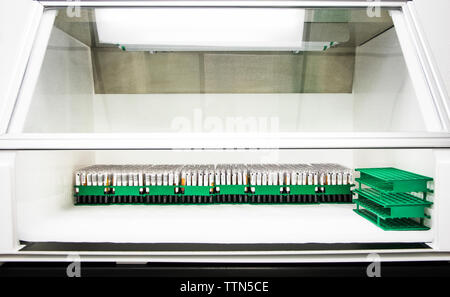 Provette in rack da laboratorio Foto Stock
