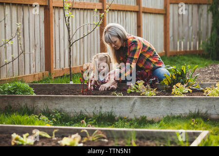 Madre e figlia di piantare in letto sollevata in cortile Foto Stock