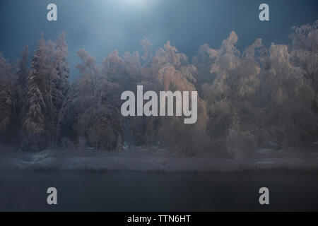 Vista panoramica di Chena Hot Springs contro la coperta di neve alberi Foto Stock