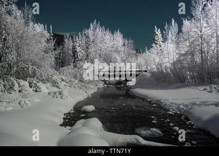 Chena Hot Springs da coperta di neve alberi contro il campo a stella Foto Stock