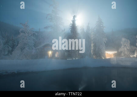 Chena Hot Springs da coperta di neve alberi durante la notte Foto Stock