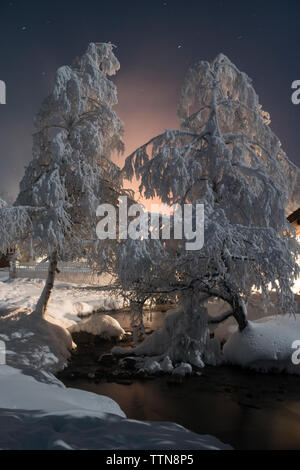 Chena Hot Springs da neve alberi coperti di notte Foto Stock