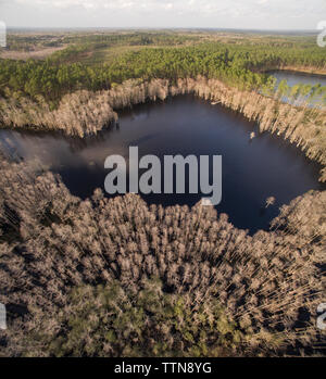 Vista aerea del lago in mezzo di alberi di pino a registro la foresta di stato Foto Stock