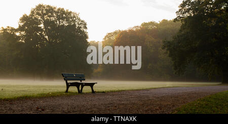 Banco in un parco in autunno a sunrise con nebbia appesa sopra i prati Foto Stock