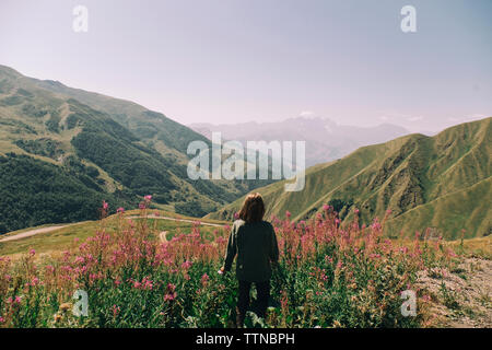 Vista posteriore della donna che guarda la montagna mentre in piedi in mezzo a piante contro il cielo chiaro durante la giornata di sole Foto Stock