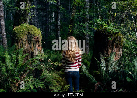 Vista posteriore della donna in piedi in mezzo di alberi in foresta Foto Stock