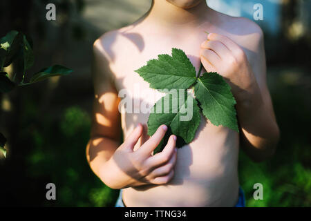 Ragazzino con foglie verdi nelle sue mani sul tramonto Foto Stock