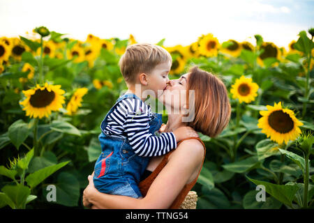 Donna che mantiene e baciare il suo figlio in mezzo a campi di girasole Foto Stock