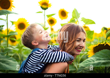 Donna in piedi nel campo di girasole, tenendo il suo figlio sulla sua schiena. Foto Stock