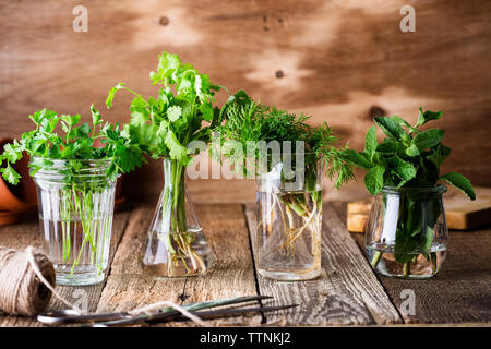 E una selezione di fresche fatte in casa culinaria organico e erbe aromatiche piante in vasetti di vetro su sfondo di legno, home giardinaggio, vicino il fuoco selettivo. Foto Stock