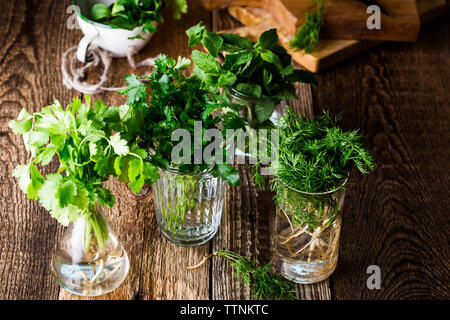 E una selezione di fresche fatte in casa culinaria organico e erbe aromatiche piante in vasetti di vetro su sfondo di legno, home giardinaggio, vicino il fuoco selettivo. Foto Stock