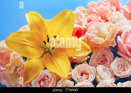 Diversi fiori, close up Foto Stock