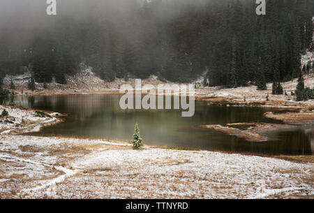 Vista panoramica del lago contro alberi Foto Stock