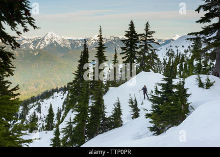 Escursionista in piedi la alberi innevati con lontano Valle opinioni Foto Stock