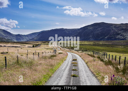 Strada in mezzo campo erboso che conducono verso la montagna Foto Stock