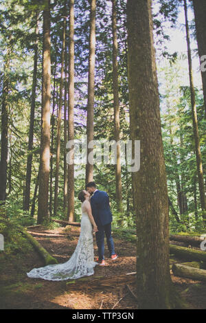 Sposa giovane baciare stando in piedi in mezzo di alberi in foresta Foto Stock