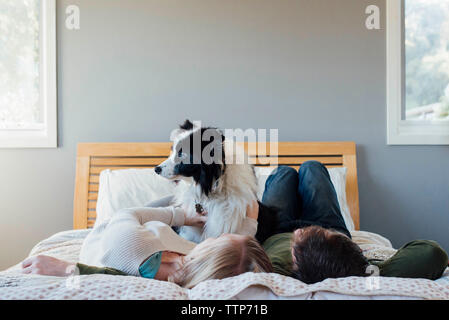 Giovane con cane sdraiato sul letto di casa Foto Stock