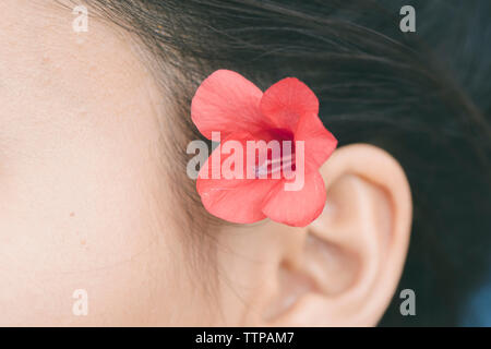 Immagine ritagliata della donna che indossa fiore presso una località turistica Foto Stock