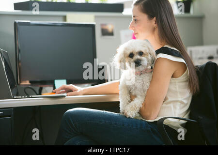 Ritratto di cane essendo portato da imprenditrice utilizzando computer portatile alla scrivania in ufficio Foto Stock