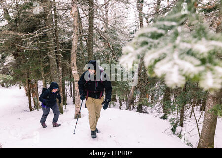 Lunghezza completa di amici con escursioni poli ad esplorare la foresta durante il periodo invernale Foto Stock